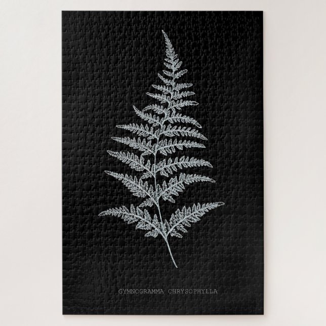 Puzzle Fern - Gymnogramma Chrysophylla. Efecto de rayos X (Vertical)