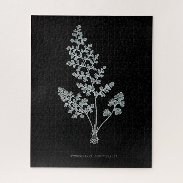 Puzzle Fern - Gymnogramma Leptophylla - Efecto de rayos X (Vertical)