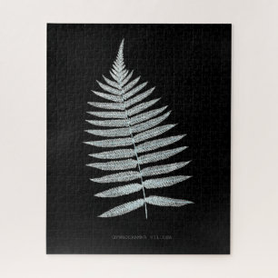 Puzzle Fern - Gymnogramma Villosa - Efecto de rayos X - 0