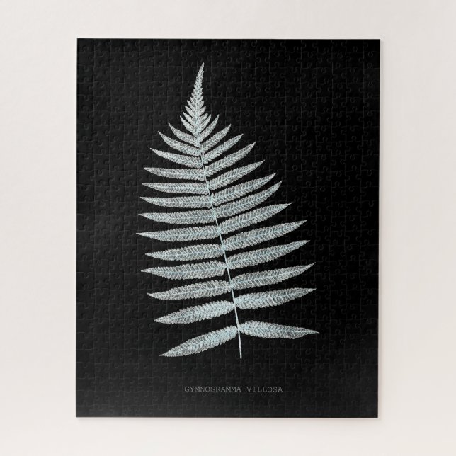 Puzzle Fern - Gymnogramma Villosa - Efecto de rayos X - 0 (Vertical)