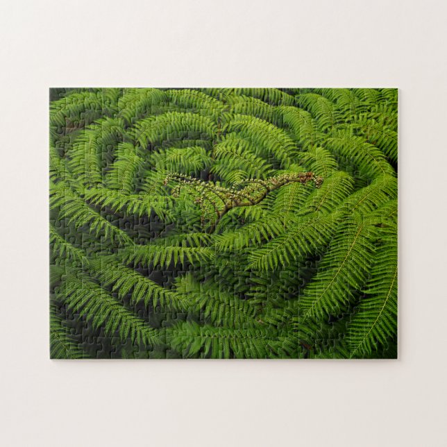 Puzzle Fern Leaves (Horizontal)