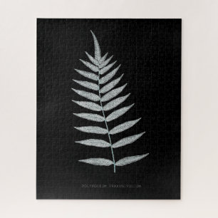 Puzzle Fern - Polipopodio Fraxinifolio - Efecto de rayos