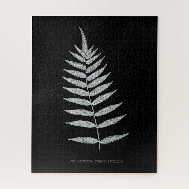 Puzzle Fern - Polipopodio Fraxinifolio - Efecto de rayos  (Vertical)