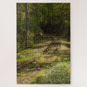 Puzzle Ferrocarril Abandonado En Un Bosque