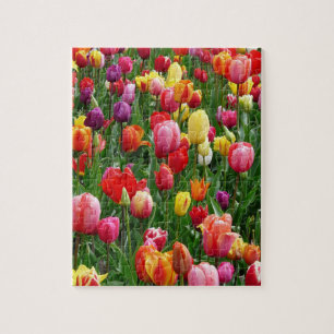 Puzzle Festival de Tulipanes