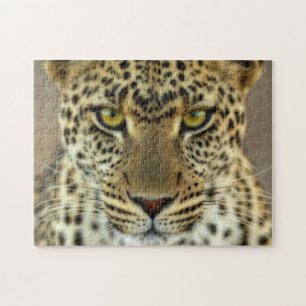 Puzzle Fierce Leopard