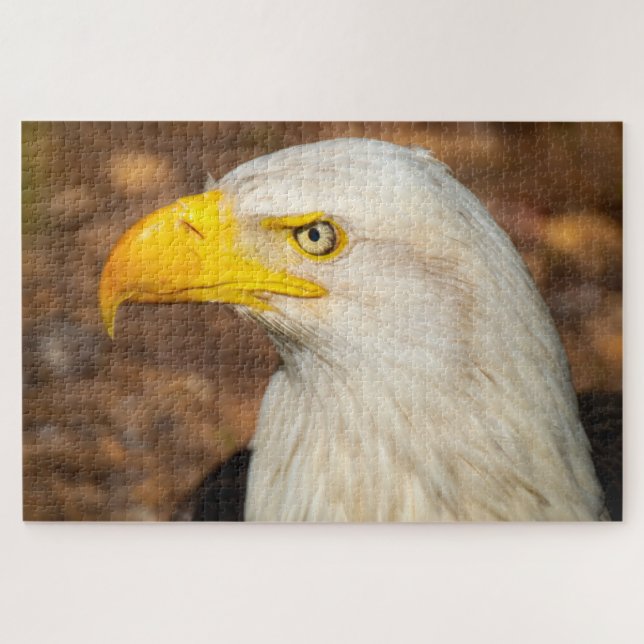 Puzzle Fierce Stare of the Eagle Challenging (Horizontal)