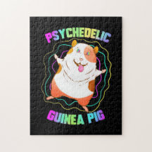 Fiesta Guinea Pig EDM