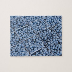Puzzle Filas de arándanos