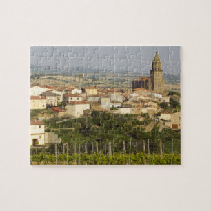 Puzzle Filas de vid de uva en primer plano