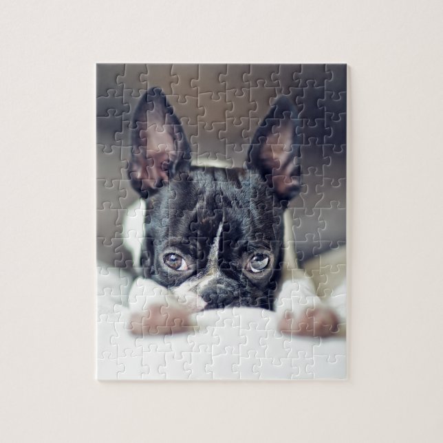 Puzzle Fina la Boston Terrier (Vertical)