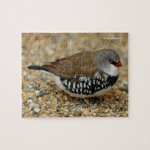 Puzzle Finalización Diamond FiRetail