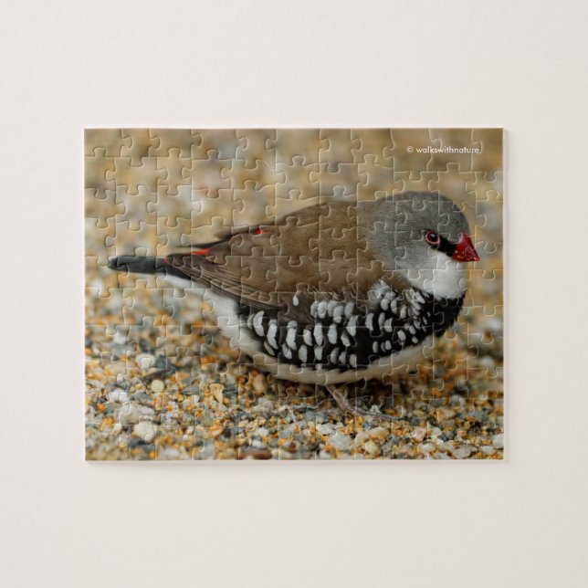 Puzzle Finalización Diamond FiRetail (Horizontal)
