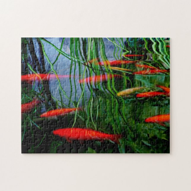Puzzle Fish Pond (Horizontal)