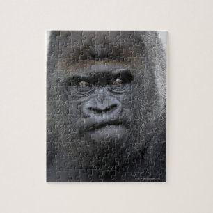 Puzzle Flachlandgorilla, Gorila Gorila,