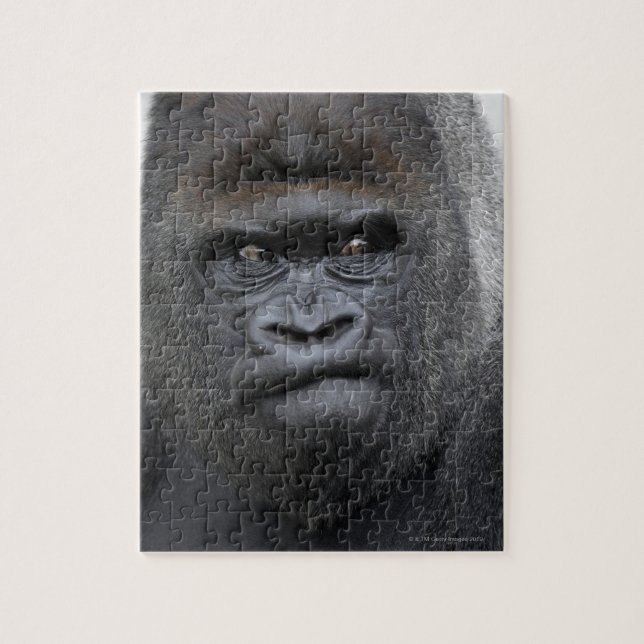 Puzzle Flachlandgorilla, Gorila Gorila, (Vertical)