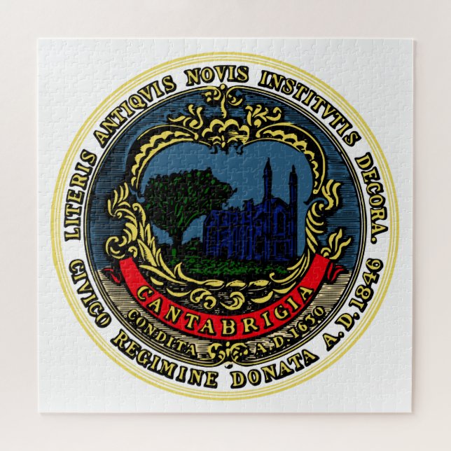 Puzzle Flag of Cambridge (Massachusetts) (Horizontal)