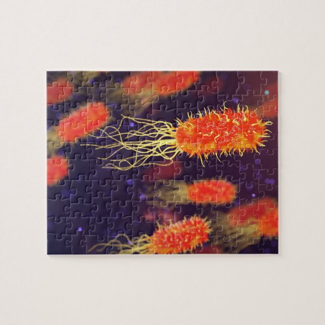 Puzzle Flagelos de las bacterias (Horizontal)