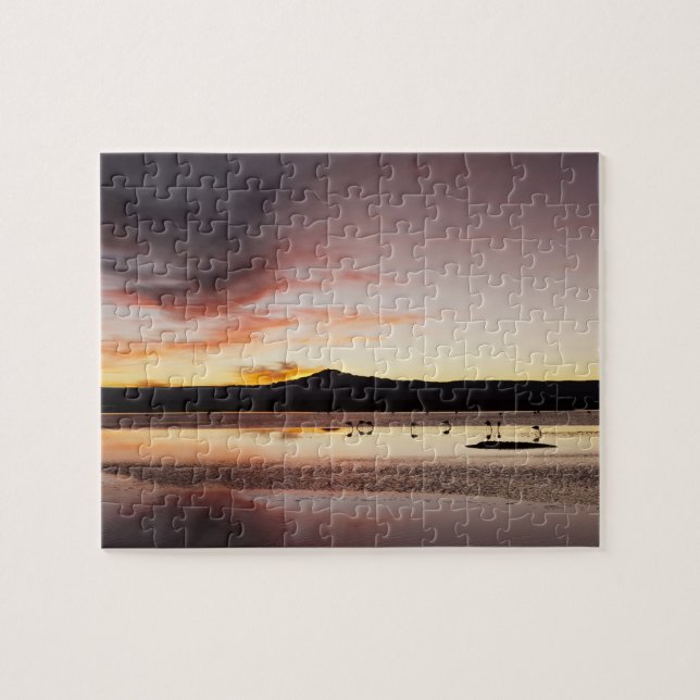 Puzzle Flamenco Chileno (Horizontal)