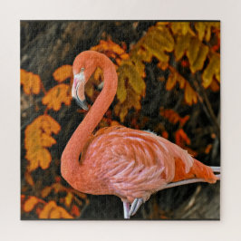 Puzzle Flamenco, de cerca y hermoso