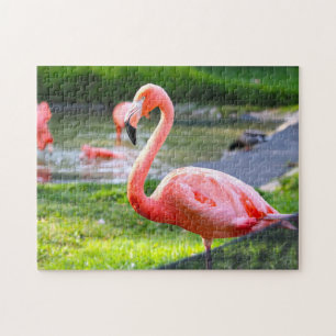 Puzzle Flamenco Rosa California.