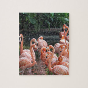 Puzzle Flamencos exóticos