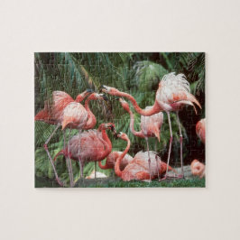 Puzzle Flamencos rosados tropicales Familia Diversión sil