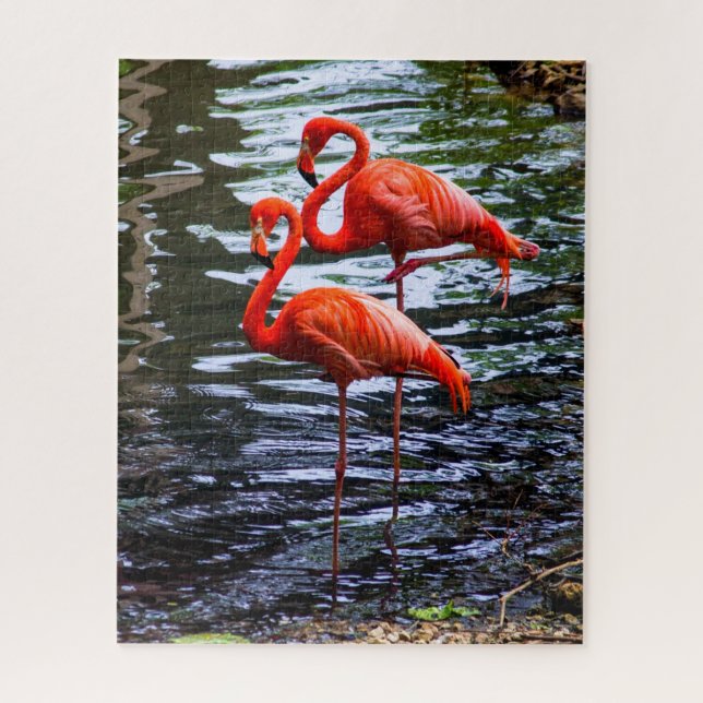 Puzzle Flamencos rosas en el agua (Vertical)