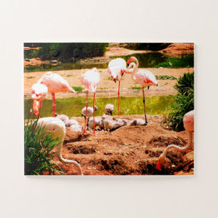Puzzle Flamencos y pollitos