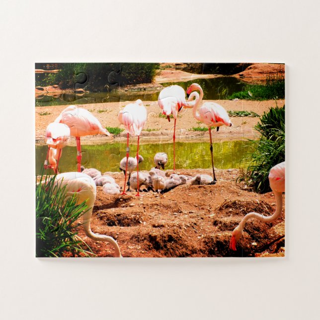 Puzzle Flamencos y pollitos (Horizontal)