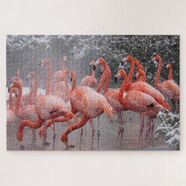 Puzzle Flamingo americano