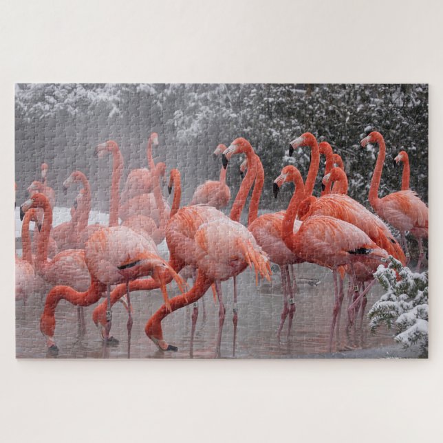 Puzzle Flamingo americano (Horizontal)