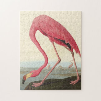 Puzzle Flamingo americano ~ John James Audubon 11 x 14