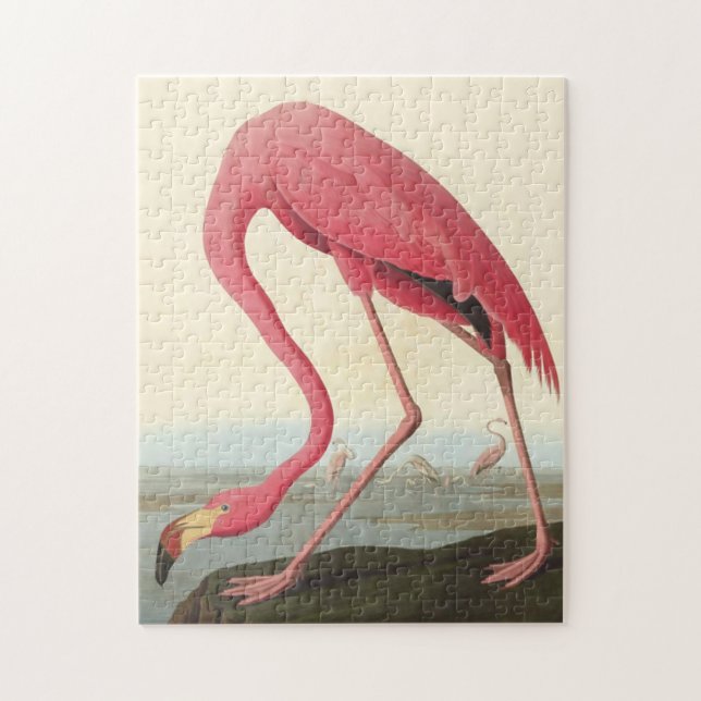 Puzzle Flamingo americano ~ John James Audubon 11 x 14 (Vertical)