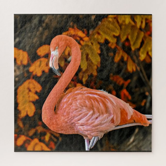 Puzzle Flamingo, de cerca y hermoso (Vertical)