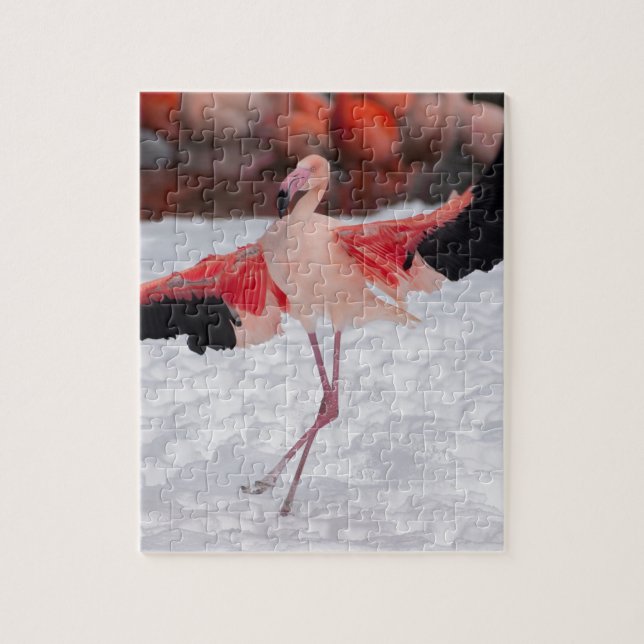 Puzzle Flamingo divertido bailando el flamenco (Vertical)