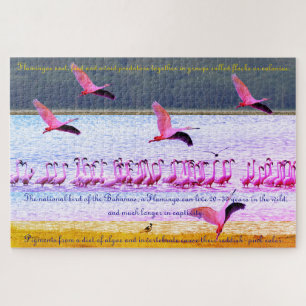 Puzzle Flamingo Fun 20"x30" - 1014 Pieza