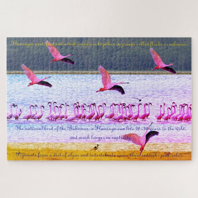 Puzzle Flamingo Fun 20"x30" - 1014 Pieza (Horizontal)