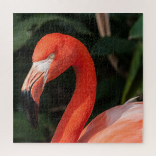 Puzzle Flamingo rosa brillante