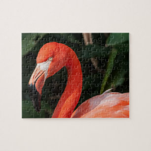 Puzzle Flamingo rosa brillante