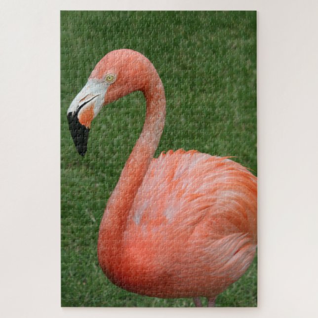 Puzzle Flamingo rosa de 1000 piezas (Vertical)