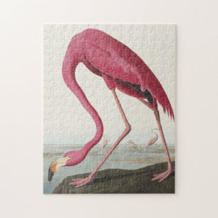 Puzzle Flamingo rosa de Birds of America