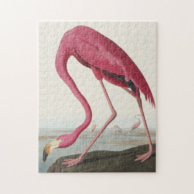 Puzzle Flamingo rosa de Birds of America (Vertical)
