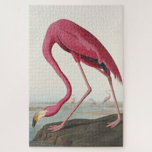 Puzzle Flamingo rosa de Birds of America