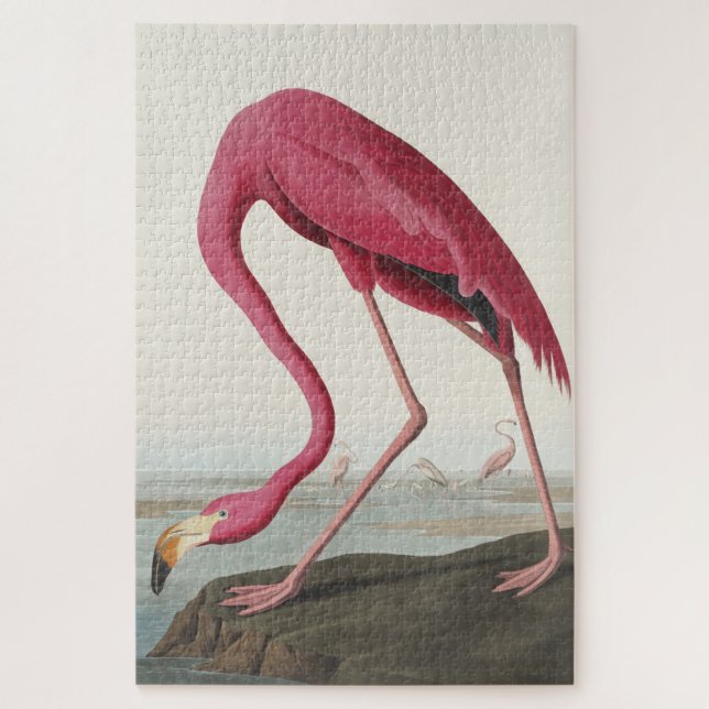 Puzzle Flamingo rosa de Birds of America (Vertical)