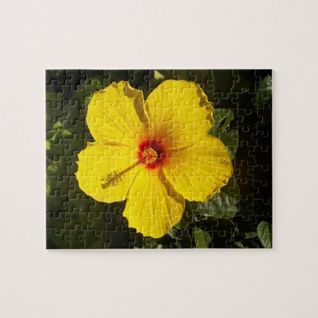 Puzzle Flor amarilla hibiscus (Horizontal)
