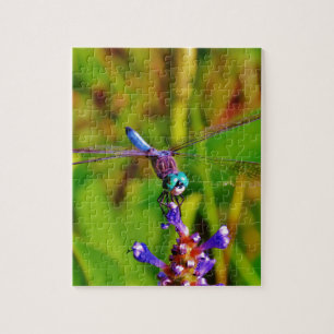 Puzzle Flor arcoiris
