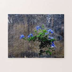 Puzzle Flor azul de Plumbago