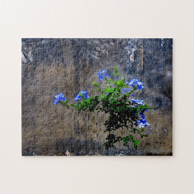 Puzzle Flor azul de Plumbago (Horizontal)