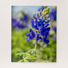 Puzzle Flor azul de Texas